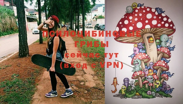 дживик Горняк
