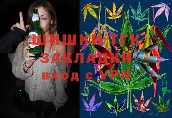 дживик Горняк