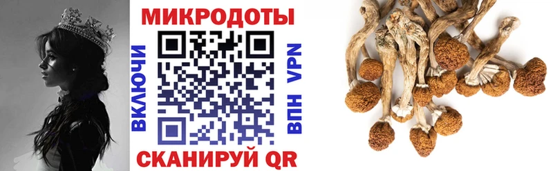 Псилоцибиновые грибы мицелий  Ачинск 
